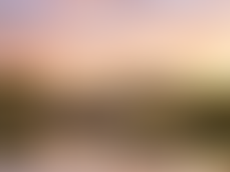 4 Star Parknasilla Resort From €139 PP (1 Night)