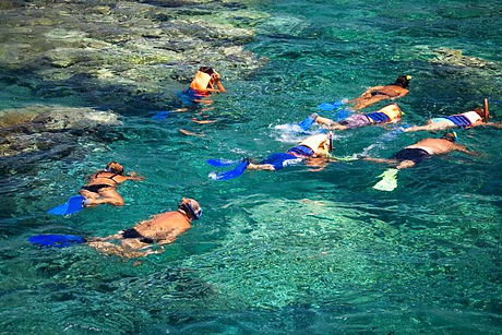 snorkel 1.jpg