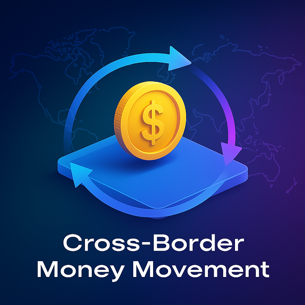 Movimiento de Dinero Transfronterizo.png