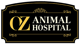 Oz Animal Hospital