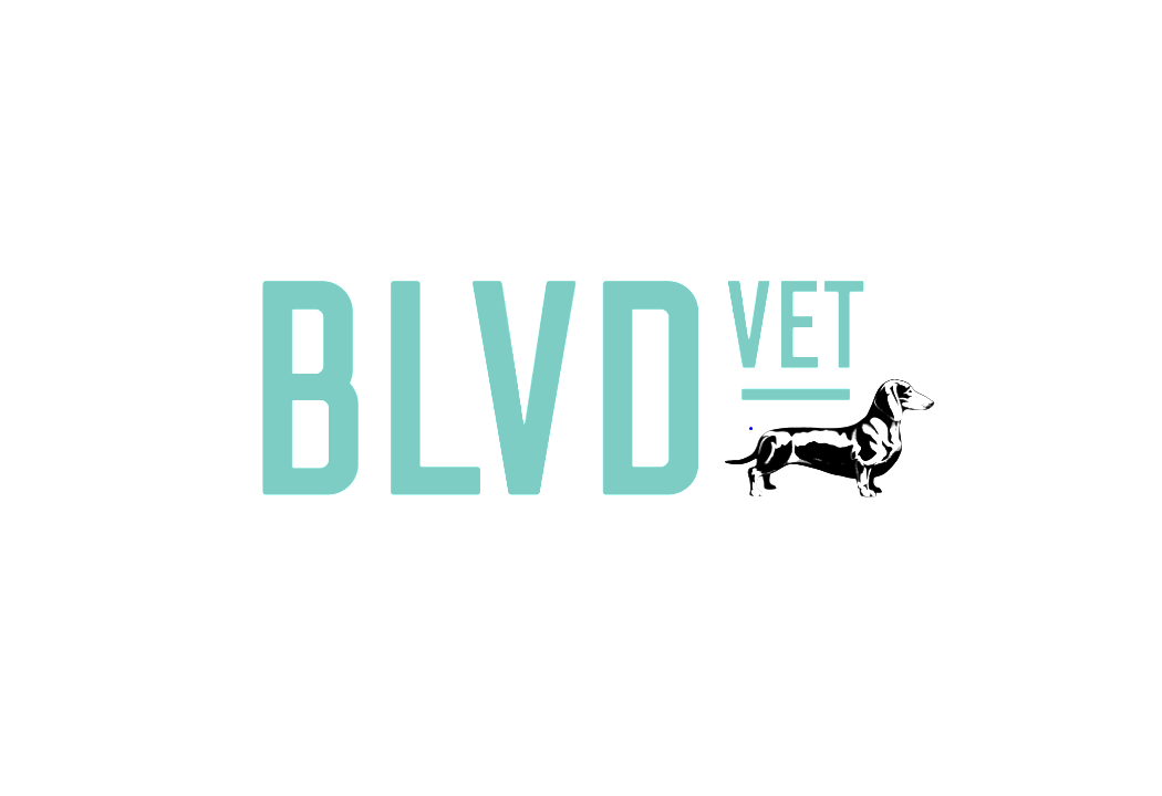 BLVD Vet