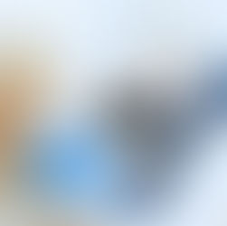 ¿HA CONOCIDO A ALGUIEN POR INTERNET? ¿NECESITA COMPROBAR SI LE HAN ENGAÑADO?