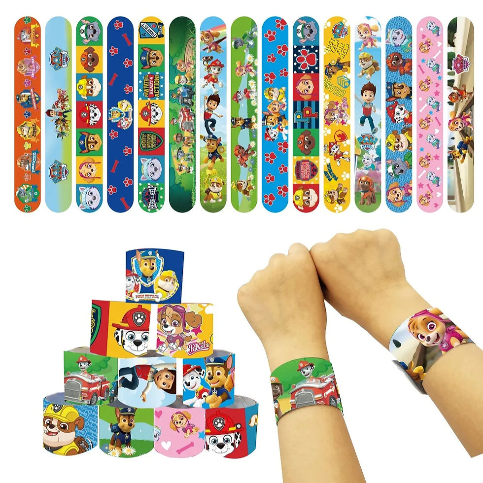 Paw Patrol 12Pcs bracelets for kids