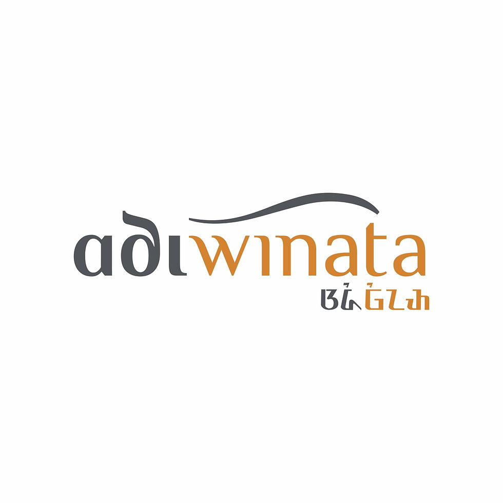 Adi Winata