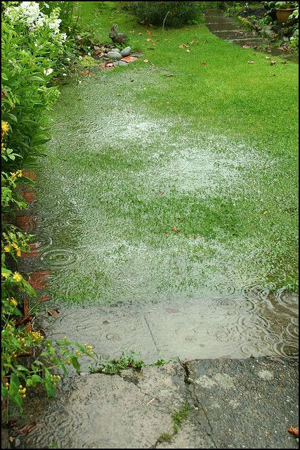 Bad drainage of plants during rain