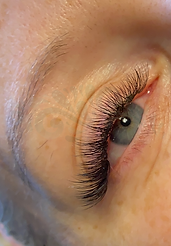 Hybrid Lashes