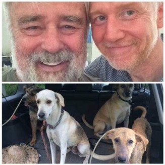 A Dear Retreat Guest & Homeless Dogs