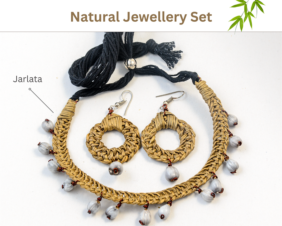 Natural Seed Jewellery Set | Jarlata | 1 Necklace + 1 Pair Earrings