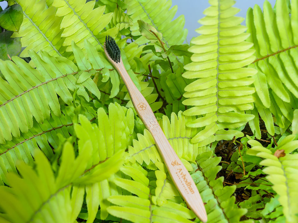 Thumbnail: Bamboo toothbrush Set | Adult | 18.5 cms