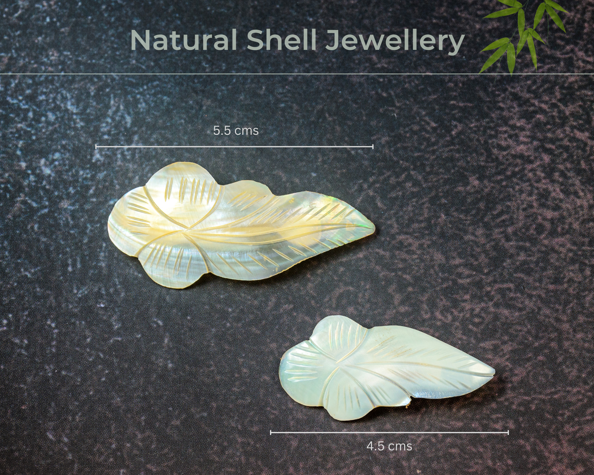 Natural Shell Hair Clips | Set of 2 | Medium