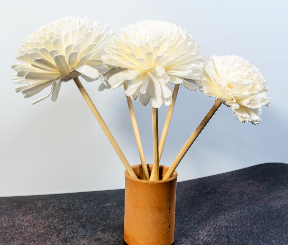 Thumbnail: Shola Flower Stick | Set of 5 | white | 10"