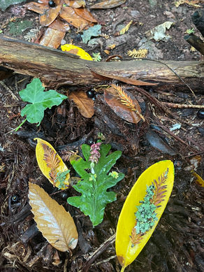 ❤️🌸🕊September Loveletter 🕊🌸❤️