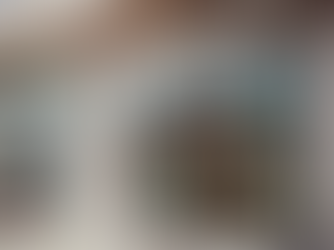 Ruohonjuuri shop front