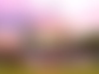 fotos y clasificacion melia golf challenge 2026