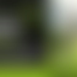 Noticia MyGolfWay: Inscripciones abiertas para el Summum Business de Madrid, el 3 de Junio en Golf Santander