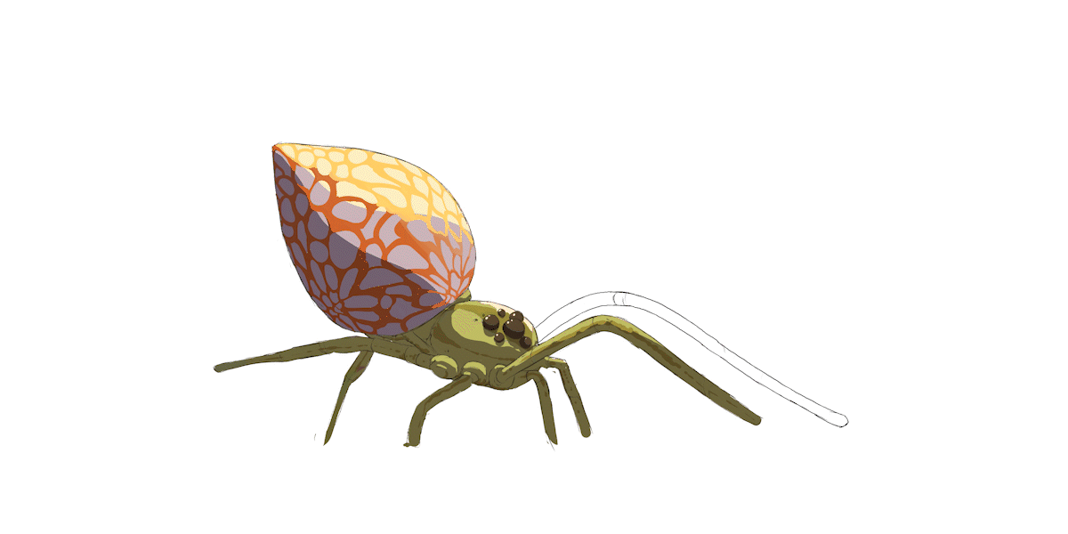 spider_leg_sk_001_1.gif