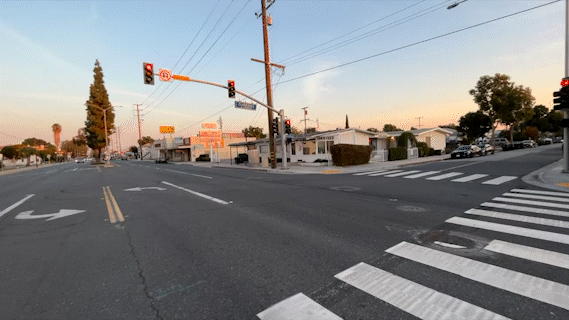 IMG_8421_AdobeExpress (1).gif