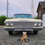 Vintage car and dog at the Joyride Charters dock in Westbrook