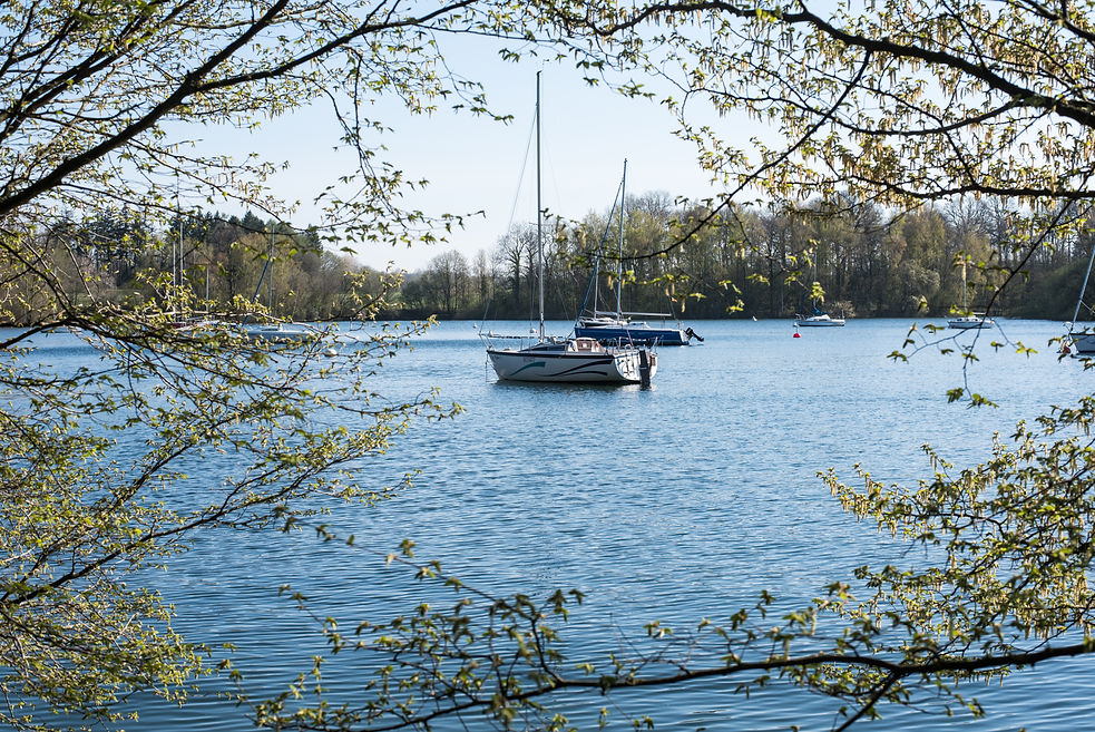 DSC_9860.jpg