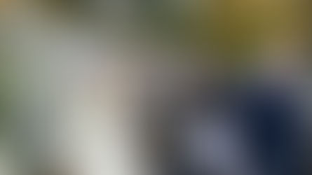 UK National Women'S Fellowship Evangelical Visit to Manchester