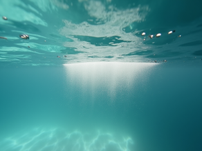 Toiture propre à Dole : Techniques efficaces de démoussage