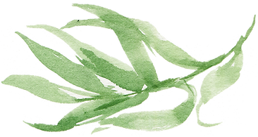 leaf 12.png
