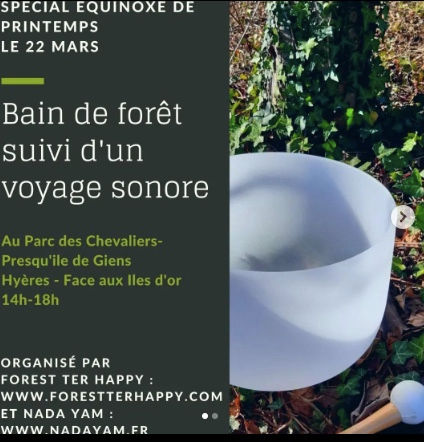 BAIN DE FORET ET VOYAGE SONORE A GIENS