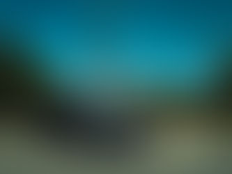 Mercedes Benz S 350d - The Paramount!