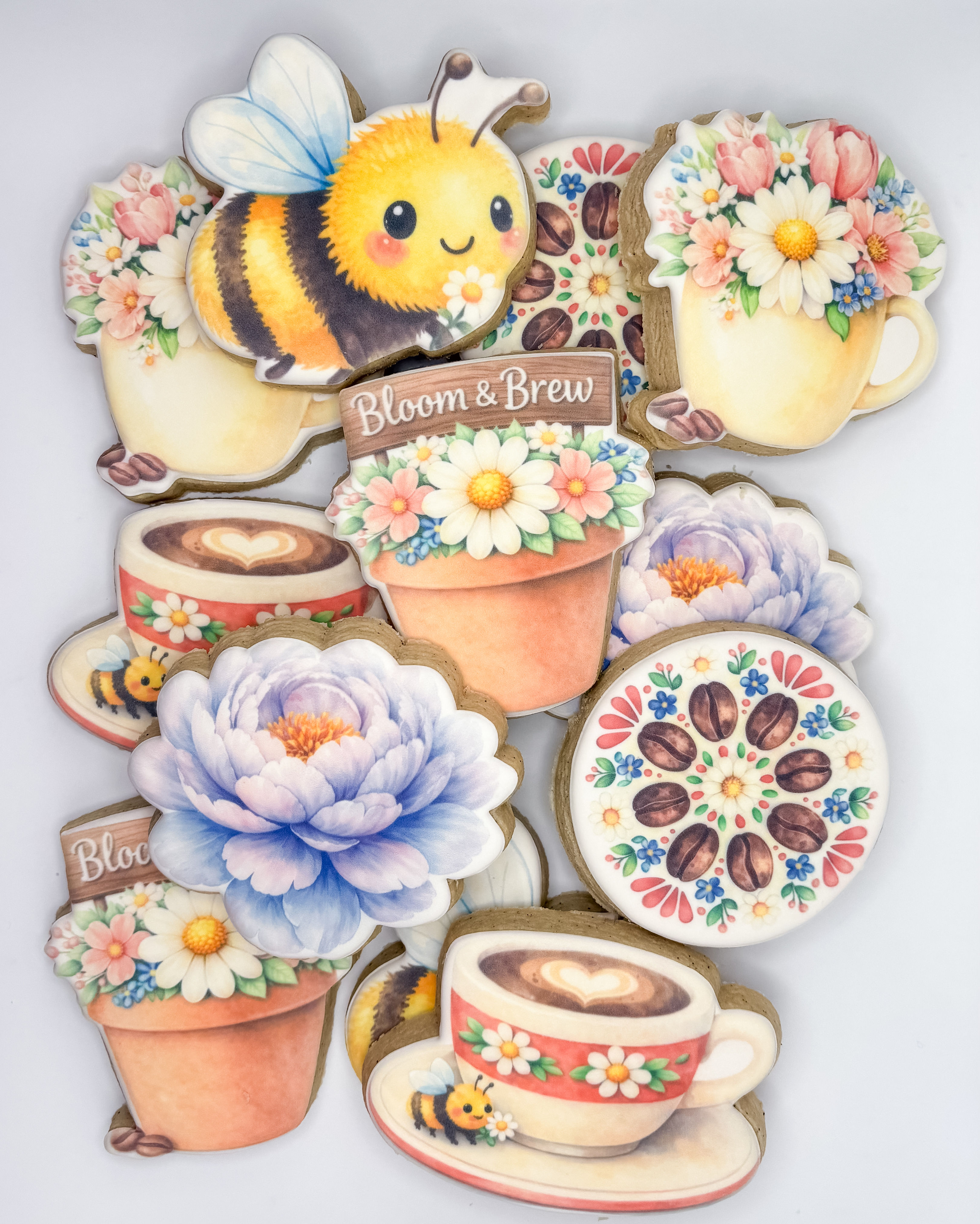 Cookie Club – Full Box of 12