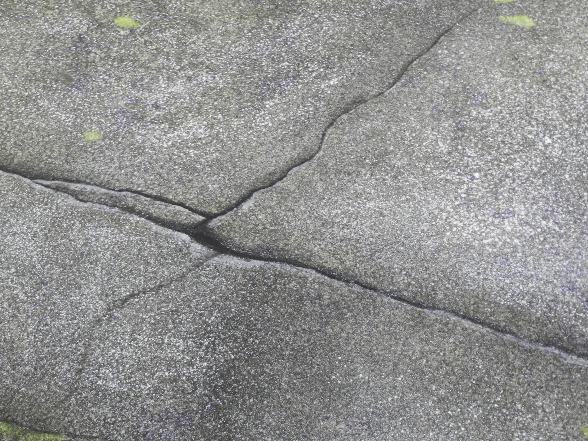 Groundcloth Detail