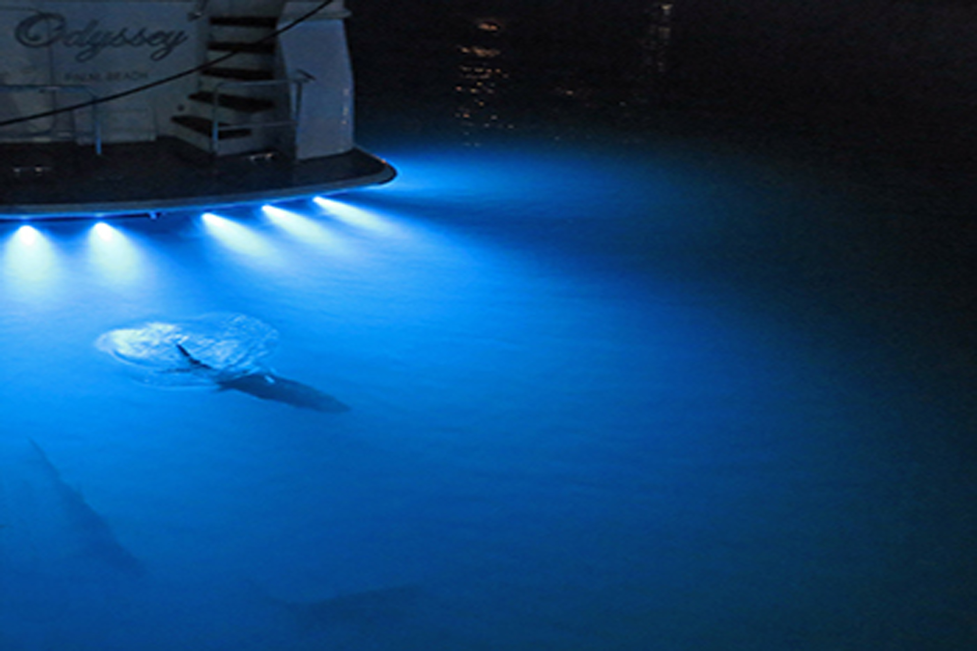 Undwater Boat And Dock Led Lighting Usa Ecoliteco Undwater Boat And Dock Led Lighting Usa Ecoliteco