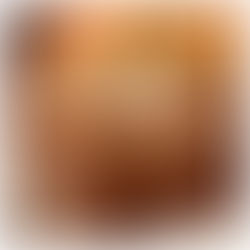 Skylight Inn / Ayden, NC