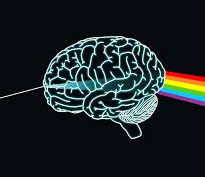 Brain Synapses 4.jpeg