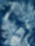 double fern medium.jpg