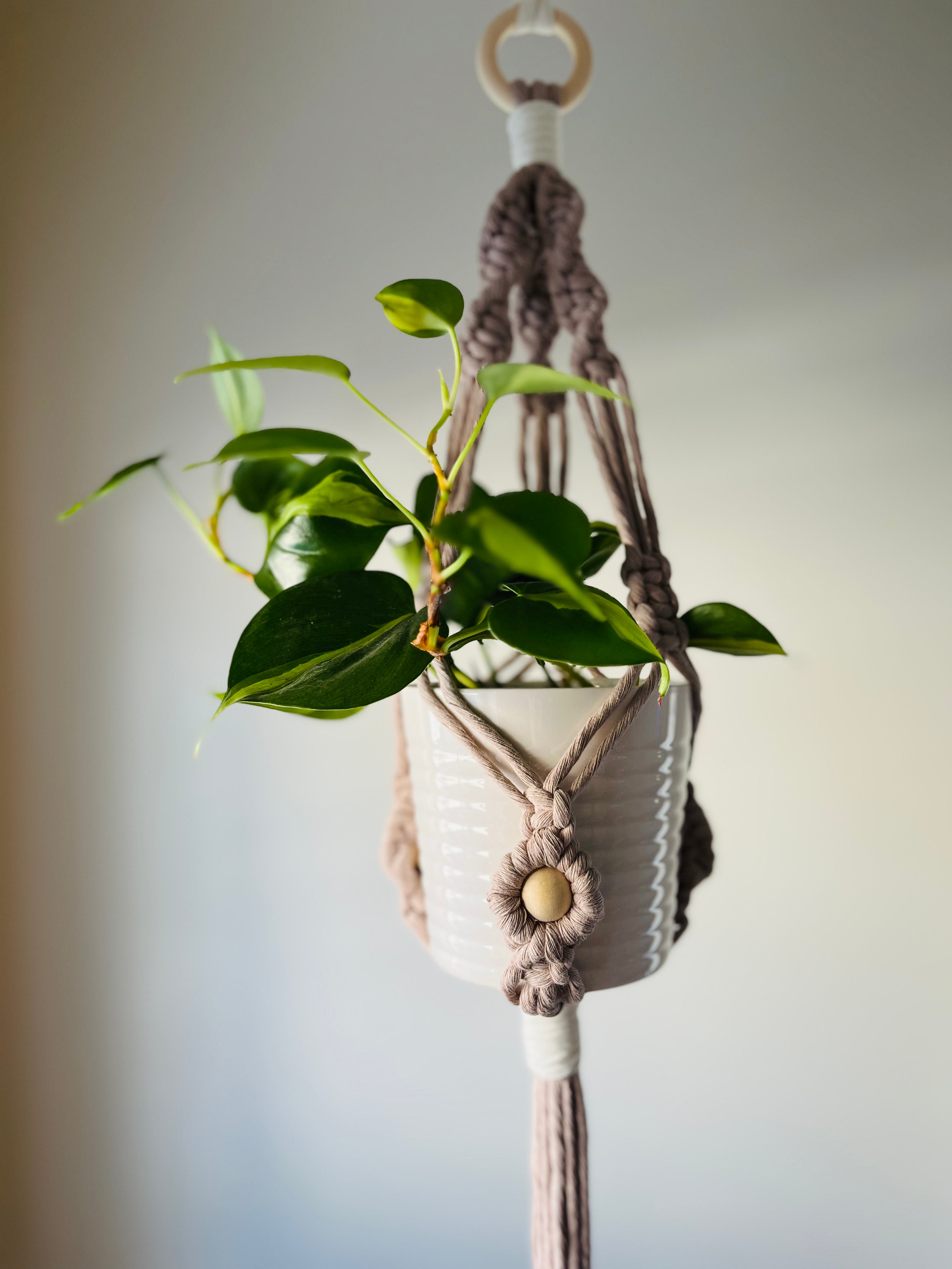 Jardinière en macramé « L’Inspirante »