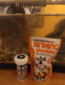20201007_201618.jpg