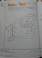 20200925_153838.jpg