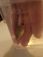 20201007_195720.jpg