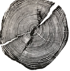 723542bd16d9cca48ec3f45fe799a02d_edited.png