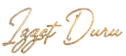 indir_edited.png
