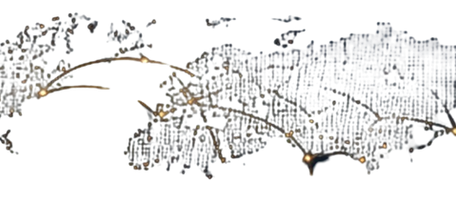 ALT-1-2.png