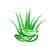 aloe vera.png
