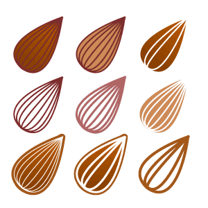 バリエーション