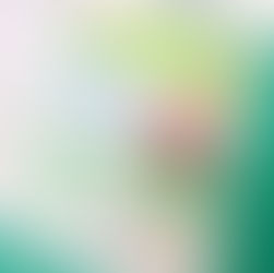 1日300円から始めるWeb集客術(第6回無料Webセミナー) ご参加ありがとうございました