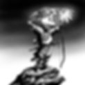 jinmu