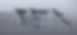 Add a heading (2000 × 900 px) (1).png