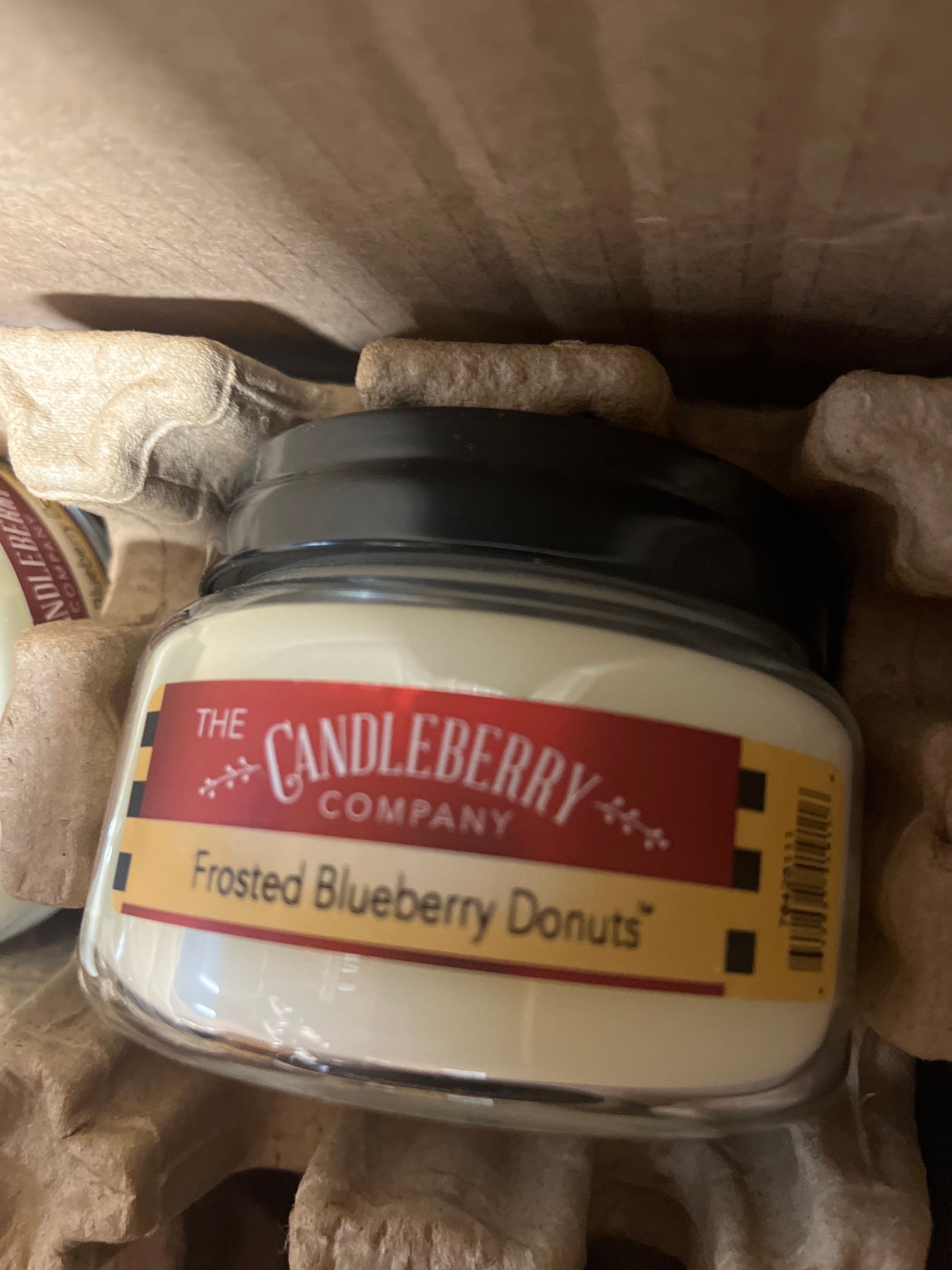 Frosted Blueberry Donuts Small Jar 
