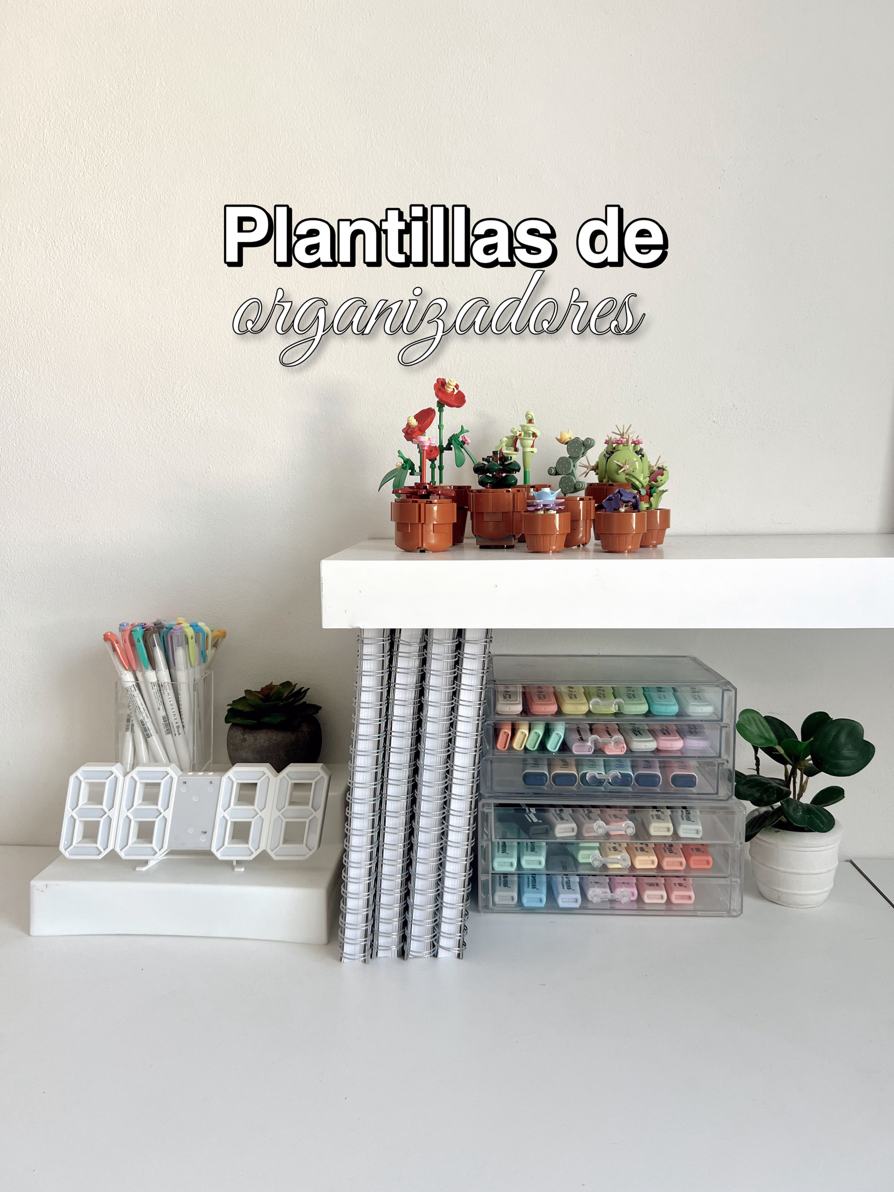 Organizadores descargables