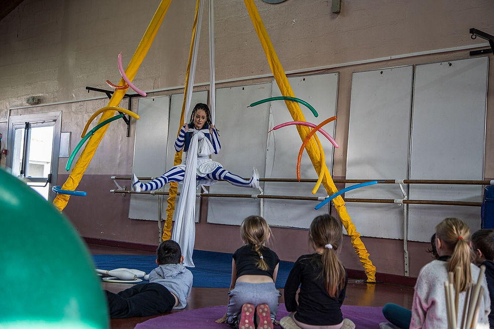 cirque-anniversaire-auvergne