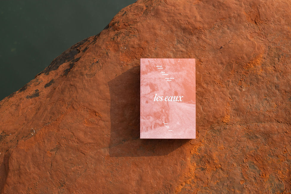 Lancement du livre Les eaux